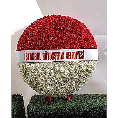 Anitkabir  Mozole  �i�egi