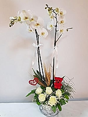 Beyaz Orkide G�l Aranjman