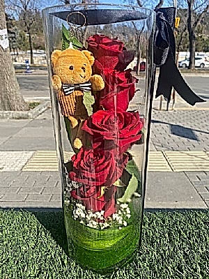 Cam  Vazoda  G�ller