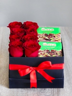 �ikolata  G�l  Aski