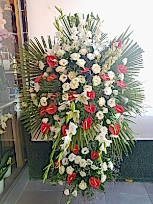 Kirmizi Beyaz Feforje Aranjman