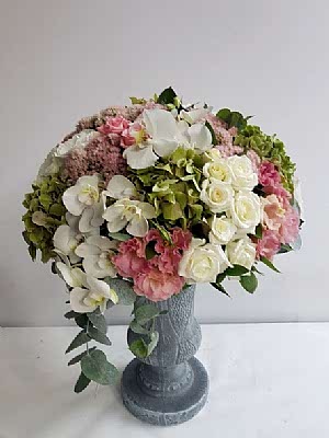 Orkide G�l �i�ek Aranjmani