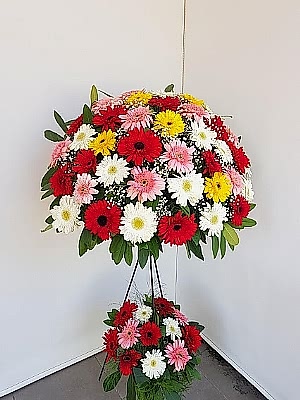Renkli Gerbera  Feforje 
