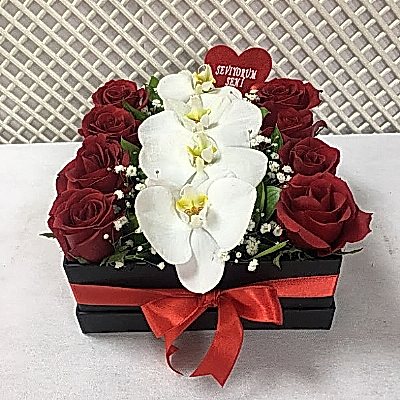 Seni Seviyorum Birtanem