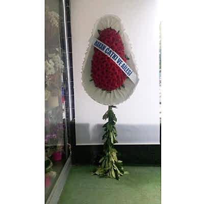 Tek Katli D�g�n �elenk �i�egi