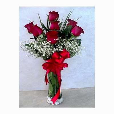 Vazoda 7 Kirmizi G�l